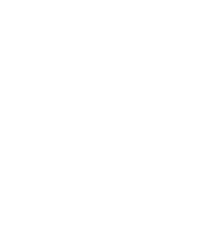 Domestic Switchgear ICON - White 2024